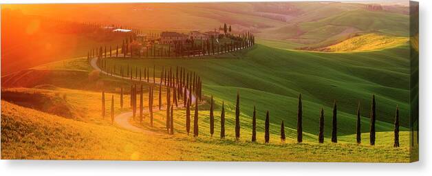 Tuscany; Villa; Green; Hills; Italy; Belvedere; Val D'orcia; Cypress; Trees; Beautiful; Countryside; Sunset; Rolling; Italia; Toscana; Rob Davies; Robert Davies; Landscape; Gold; Sun; Flare; Lens Flare; Panorama; Gladiator; Location; S Shape; Road; Classic Canvas Print featuring the photograph Golden Tuscany II by Rob Davies