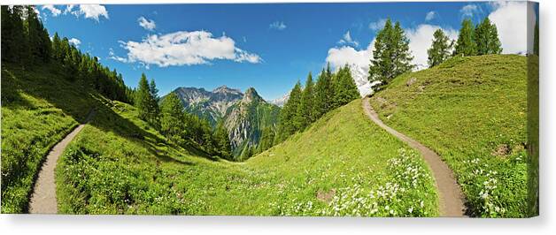 Scenics Canvas Print featuring the photograph Summer Meadow Mountain Alpine Flowers by Fotovoyager