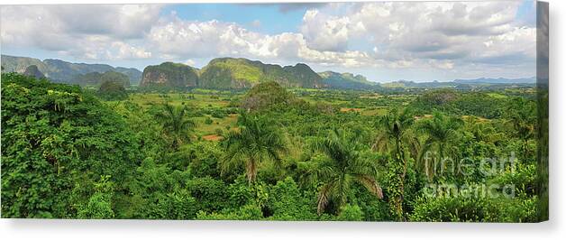 Cuba Canvas Print featuring the photograph Panoramic view of Cuban green rain forest by Mendelex Photography