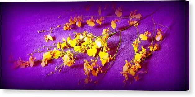 Orchids Canvas Print featuring the photograph Dancing Orchids by VIVA Anderson