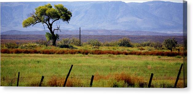 Texas Canvas Print featuring the photograph Texas Landscape 16095 by Jerry Sodorff