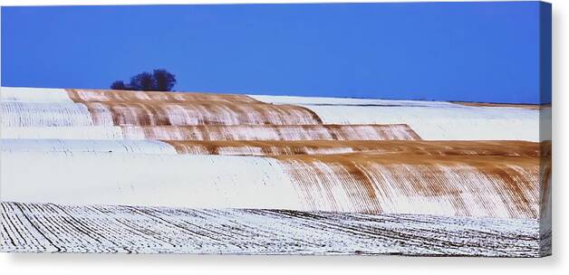 Season Canvas Print featuring the photograph Snow Stubble Tree Line 13955 by Jerry Sodorff
