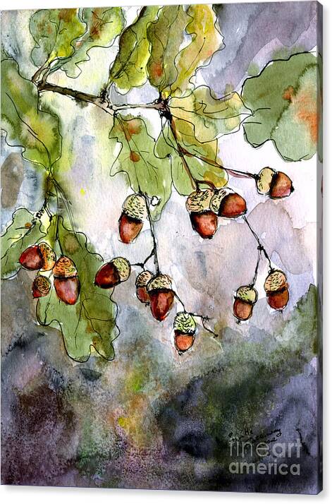 Acorns  by Ginette Callaway