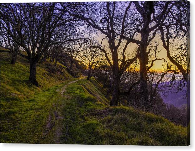 Alamo Canvas Print featuring the photograph Alamo Hills by Don Hoekwater Photography