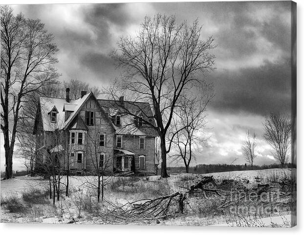 Michele Canvas Print featuring the photograph Long Hard Winter by Michele Steffey
