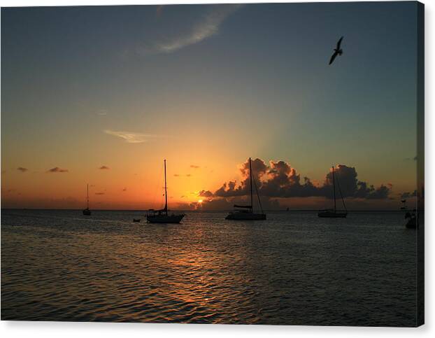 Sunset Canvas Print featuring the photograph Sunset #25 by Catie Canetti