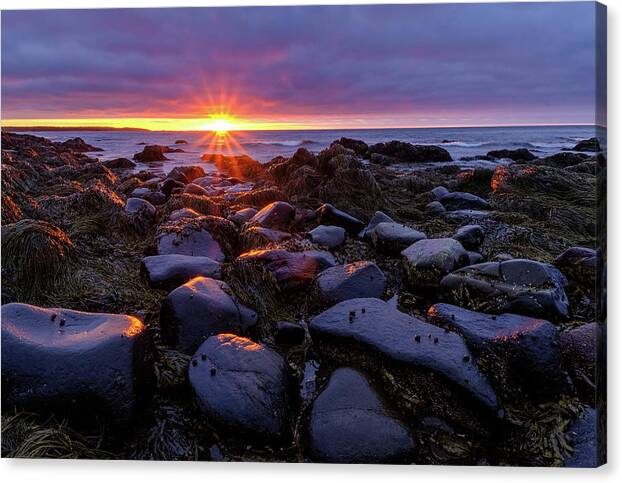 Ocean Canvas Print featuring the photograph Sunrise Fire On The New Hampshire Coast. by Jeff Sinon