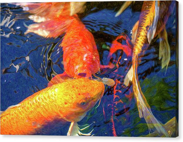 Koi Pond Fish Canvas Print featuring the digital art Koi Pond Fish - Kissing Sunshine - by Omaste Witkowski by Omaste Witkowski