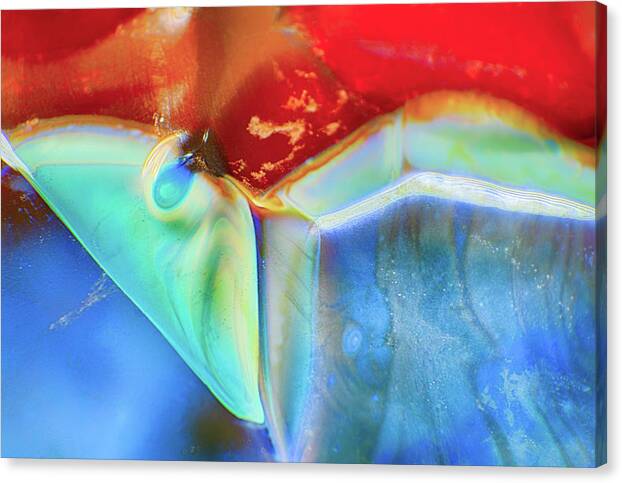 Butterfly Canvas Print featuring the photograph Psychadelic Butterfly by Omaste Witkowski