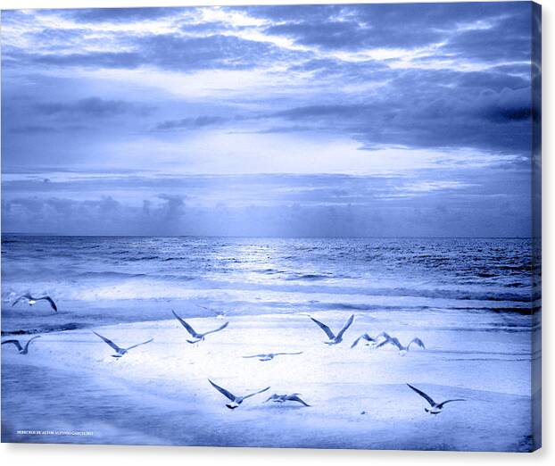 Seascape Canvas Print featuring the photograph Playa de Traba by Alfonso Garcia