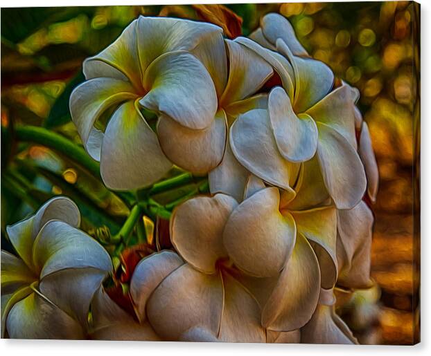 Plumeria Bunch Canvas Print featuring the painting Plumeria Bunch by Omaste Witkowski