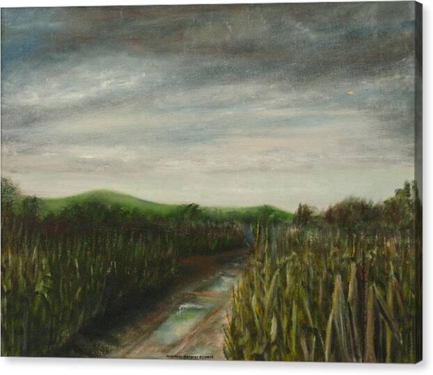 Nature Canvas Print featuring the painting Corn Field by Michael Anthony Edwards