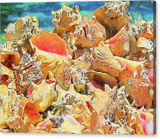 Conchs Canvas Print featuring the digital art Beautiful Conchs Impressionism by Island Hoppers Art