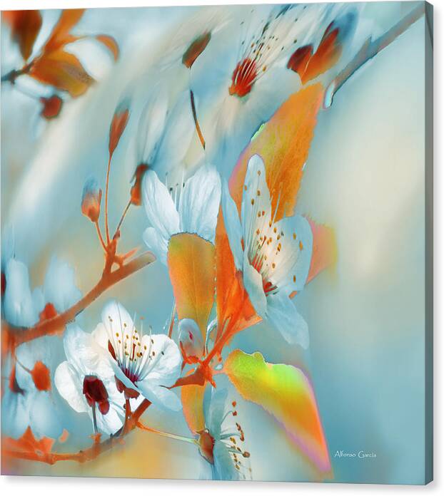Floral Photos Canvas Print featuring the photograph Primavera Fria by Alfonso Garcia