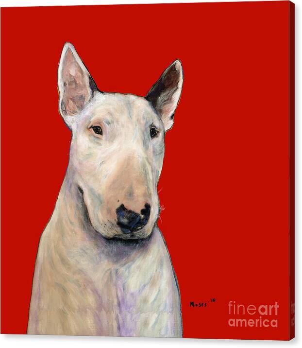 Dogs Canvas Print featuring the painting Bull Terrier On Red by Dale Moses
