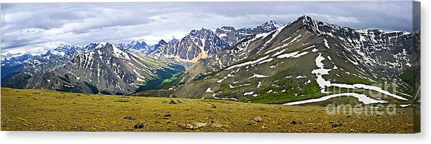 Mountains Canvas Print featuring the photograph Panorama of Rocky Mountains in Jasper National Park by Elena Elisseeva