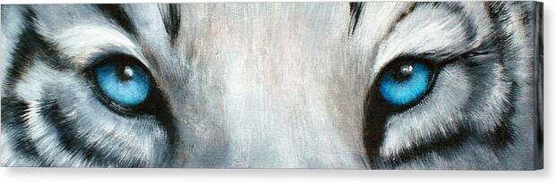 White Tiger Eyes Canvas Print featuring the painting Whos Watching Who...White Tiger by Darlene Green