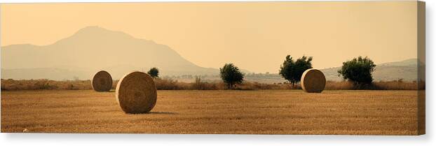 Agriculture Canvas Print featuring the photograph Hay Rolls by Stelios Kleanthous