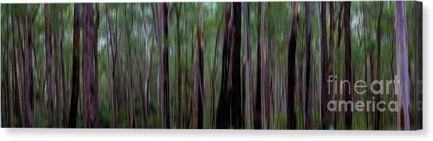 Trees Canvas Print featuring the photograph Trees by Sheila Smart Fine Art Photography