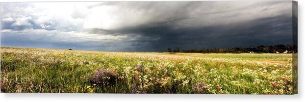 Wildflowers Canvas Print featuring the photograph Wildflower Panorama 2008 by Eric Benjamin
