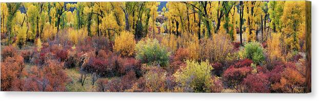 Idaho Scenics Canvas Print featuring the photograph Autumn Panoramic by Leland D Howard