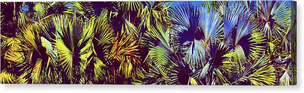 Palm Trees Canvas Print featuring the photograph Colored Palms by Michael Guirguis