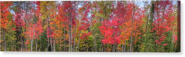 Landscapes Canvas Print featuring the photograph Natures Autumn Palette by David Patterson