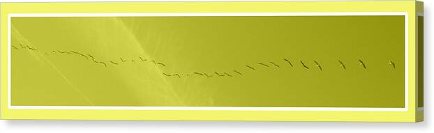 Birds Canvas Print featuring the photograph String of Birds in Yellow by Mary Mikawoz