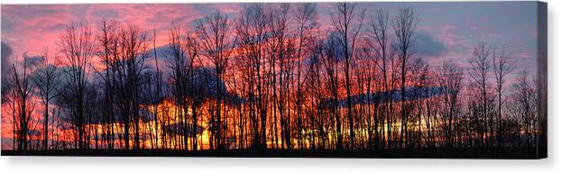 Atmosphere; Beauty; Clear; Climate; Cloud; Cold; Dawn; Dusk; Forest; Landscape; Nature; North; Outdoors; Park; Rural; Scene; Scenic; Season; Silence; Silhouette; Sky; Space; Sun; Sunlight; Sunrise; Sunset; Tranquil; Tree; Brilliant; Country; Countrys Canvas Print featuring the photograph Winter Sunset Panorama by Frances Miller
