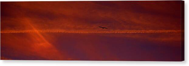 Sky Canvas Print featuring the photograph Inspirational Flight by Tamara Michael