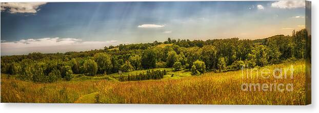 Landscape Canvas Print featuring the photograph Summer countryside by Elena Elisseeva