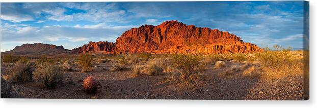  Arid Canvas Print featuring the photograph Valley of Fire by Darren Bradley