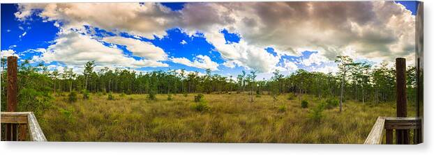 Everglades Canvas Print featuring the photograph Florida Everglades #1 by Raul Rodriguez