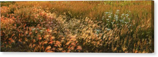 Panorama Canvas Print featuring the photograph Northern Summer by Doug Gibbons