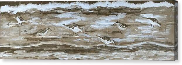 Shore Birds Canvas Print featuring the painting Teresa's sandpipers by Stan Tenney