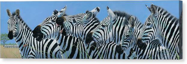 Zebra Canvas Print featuring the painting Serengeti Serenade #1 by Durwood Coffey