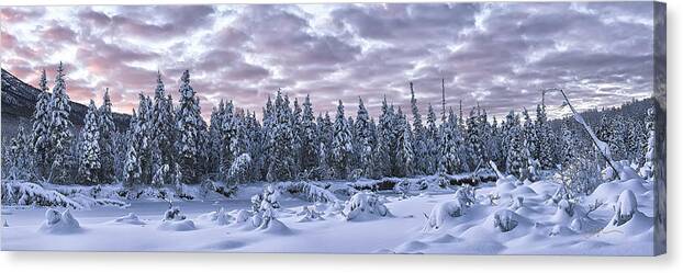 Alaska Landscape Canvas Print featuring the photograph Eagle River Treeline by Ed Boudreau