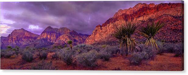 Red Rock Canyon Canvas Print featuring the photograph Red Rock Canyon by Mikes Nature