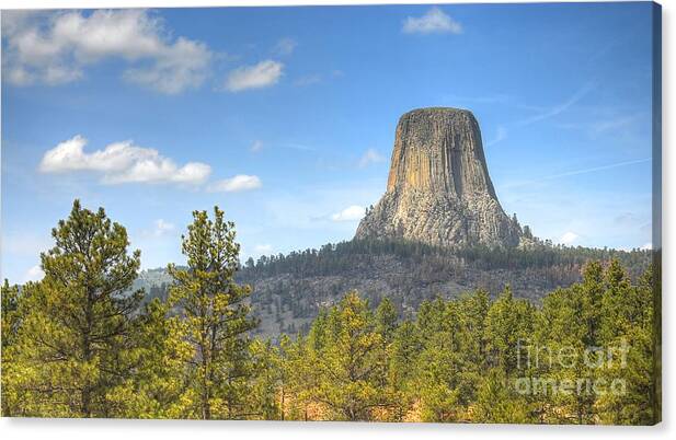 Devils Tower Canvas Print featuring the photograph Old As The Hills by Anthony Wilkening