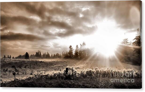 Landscape Canvas Print featuring the photograph Hope II by Rory Siegel