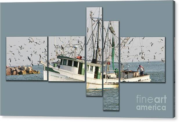 Boat Fishing Shrimping Nautical Birds Sea Ocean Water Commercial Bay Gulf Canvas Print featuring the photograph Shrimping #1 by Cecil Fuselier