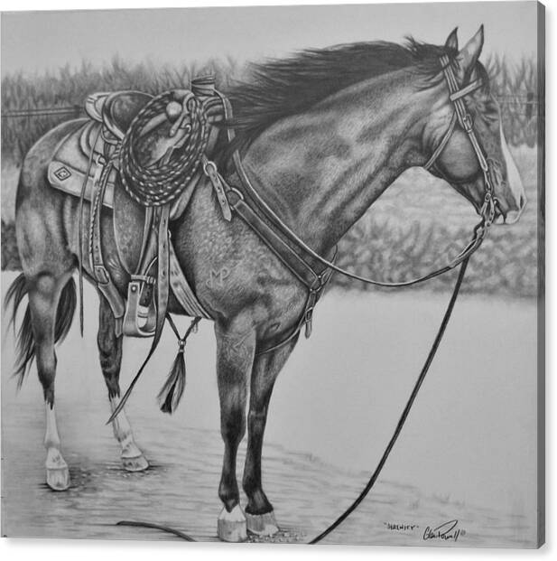 Horse Canvas Print featuring the drawing Serenity by Glen Powell