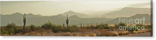 Arizona Canvas Print featuring the photograph Desert Hills by Julie Lueders 