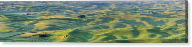 Agriculture Canvas Print featuring the photograph A spot of Red by Jon Glaser