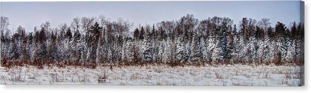 Background Canvas Print featuring the photograph Snow Tree Line by Gary Gish