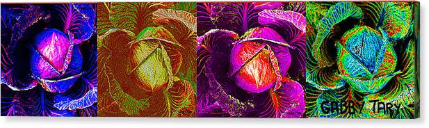 Cabbage Canvas Print featuring the digital art Four Cabbage by Gabby Tary