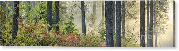 Coeur D'alene Mountains Canvas Print featuring the photograph Berry Patch Pano by Idaho Scenic Images Linda Lantzy