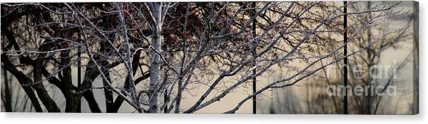 Trees Canvas Print featuring the photograph Trees Reflected by Linda Shafer