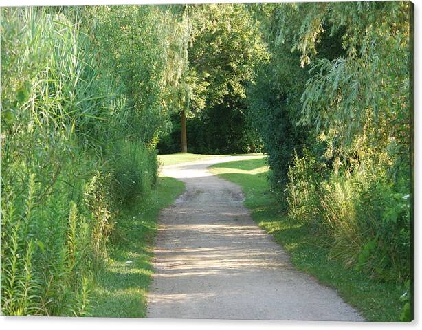 Path Canvas Print featuring the photograph The Magical Path by Ee Photography