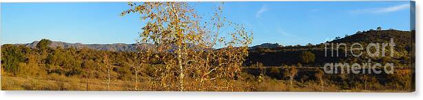 Landscape Canvas Print featuring the photograph Panorama by Timothy OLeary